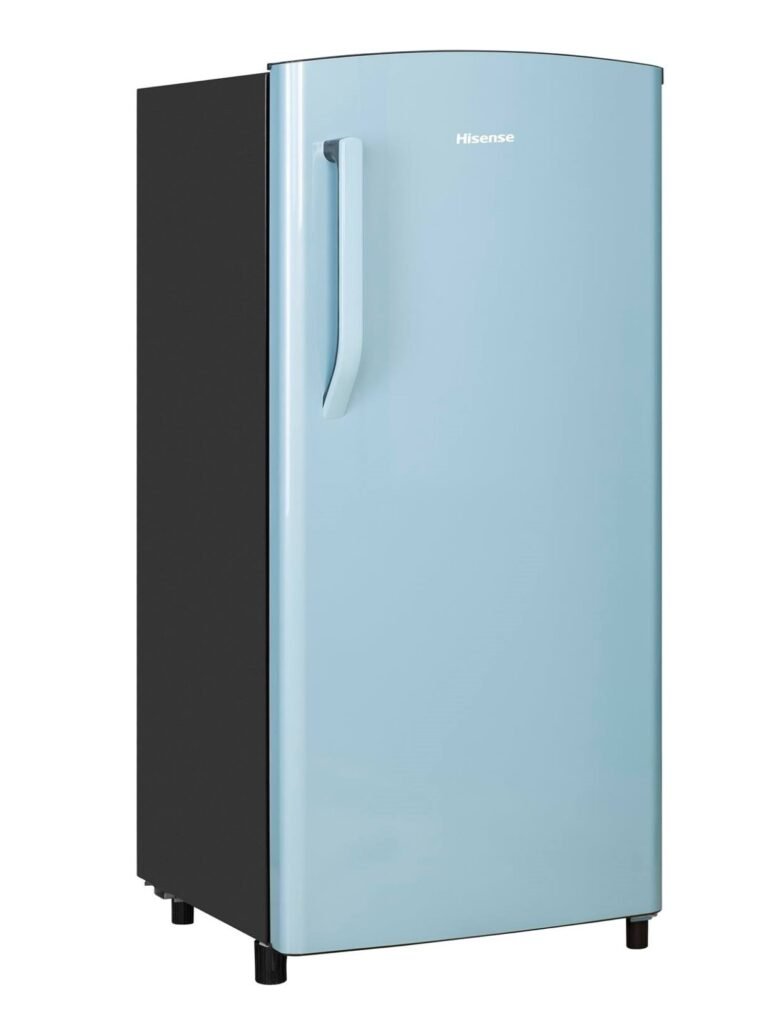 Hisense RS20DR4SBR